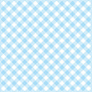 Enjoy the Ride - Gingham Plaid - Blue