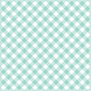 Enjoy the Ride - Gingham Plaid - Aqua