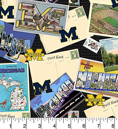 Michigan Wolverines - Scenic Postcard