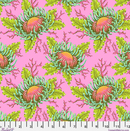 Friends & Anemones - Coralline || Floral Reef