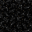 Pisces  - PhoebeMoon Designs - Written in the Stars - Glow in the Dark - Studio E - Panel Quilt Kit