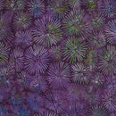 Ocean Mandala Turtle Quilt - Chris Hill - Ocean Mandala Batiks - Blank Quilting - Kit