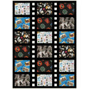 Newsflash - Villa Rosa Designs - Harry Potter - Benartex - Quilt Kit
