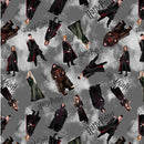 Newsflash - Villa Rosa Designs - Harry Potter - Benartex - Quilt Kit