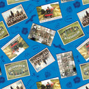 Newsflash - Villa Rosa Designs - Harry Potter - Benartex - Quilt Kit