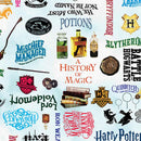 Newsflash - Villa Rosa Designs - Harry Potter - Benartex - Quilt Kit