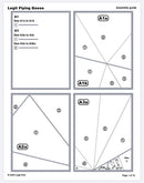 Legit Flying Geese Pattern