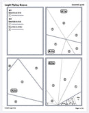 Legit Flying Geese Quilt Kit