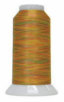 Fantastico 40 wt Variegated Polyester Thread 2,000 yd - Flower Power