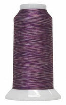 Fantastico 40 wt Variegated Polyester Thread 2,000 yd - Blossom