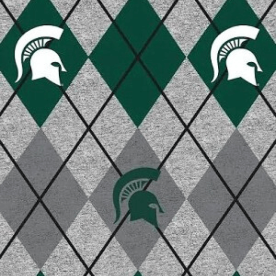 Michigan State Spartans - Fleece - Heather Argyle