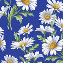 All About Daisies - Royal