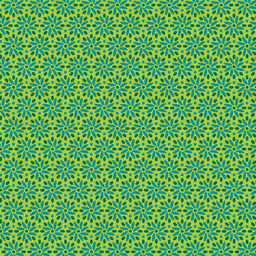 Transparency - Daisy - Citrus