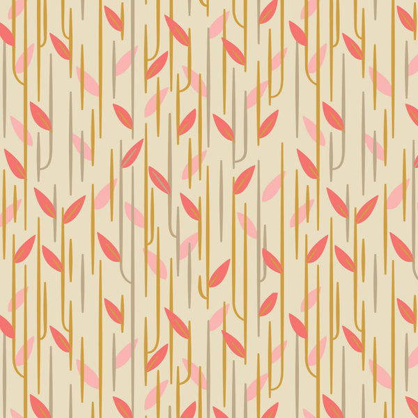 Garden Walks - Climbing Vines