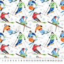 Winter Sports Skiing White Multi