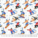 Winter Sports Boarding