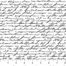 Nature's Sketchbook - White/Black 28535-10 - Cotton 44"/45" Fabric Per Yard