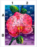 Orchid Mini Quilt Kit