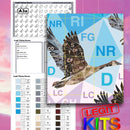 Legit Flying Geese Quilt Kit