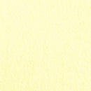 Solid Anti Pill Polar Fleece Fabric