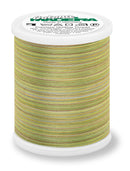Cotona 50 - Premium Cotton Quilting & Sewing Thread, Multi-Color