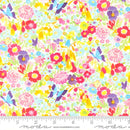 Whimsy Wonderland Rainbow 33654 11