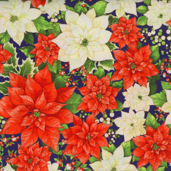 Noel - Packed Poinsettias