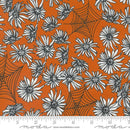 Noir Flower Web Pumpkin 11541 24