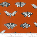 Noir Moths Pumpkin 11543 14