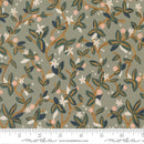 Peachy Sage 38152 22