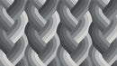 Echo Braid Black Cotton 44" / 45" Fabric per yard