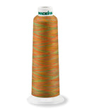 AeroQuilt - Longarm Quilting Thread, Multi Color