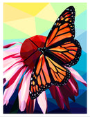 Legit Monarch Pattern