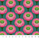 Anna Maria Strawflower Bursting