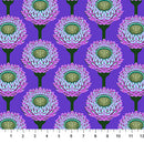 Anna Maria Strawflower Periwinkle