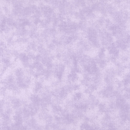 Blenders - Orchid Bloom