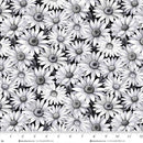 Black Daisies Scarlet's Treasure 44"/45" Cotton Fabric Per Yard
