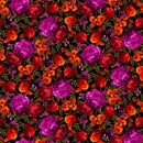 Black Hot Midnight Floral Cotton Wideback Fabric per yard