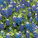 Blue Bluebonnet Flowers Cotton Wideback Fabric per yard