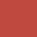 Confetti Cotton Burnt Orange