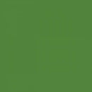 RB Confetti Cottons Holly