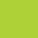 Confetti Cotton Riley Lime