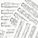 Art Journal Music White