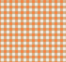 Pumpkin Spice Pumpkin C14995
