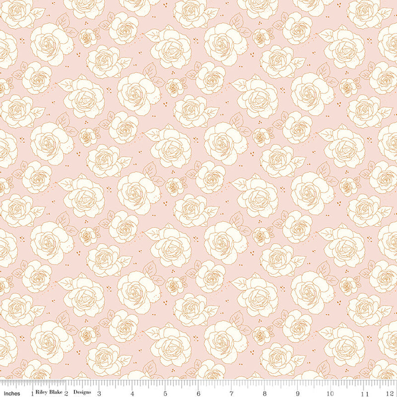 Sunsetridge - Roses - Ballerina