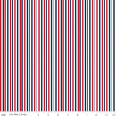 Seasonal Basics Patriotic