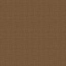 Texture Color Teddy Bear