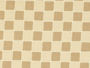 Bri's Home Collection - Checkered