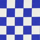 Checkerboard - Blue