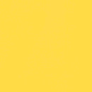 Solids - Yellow || Free Spirit Solids